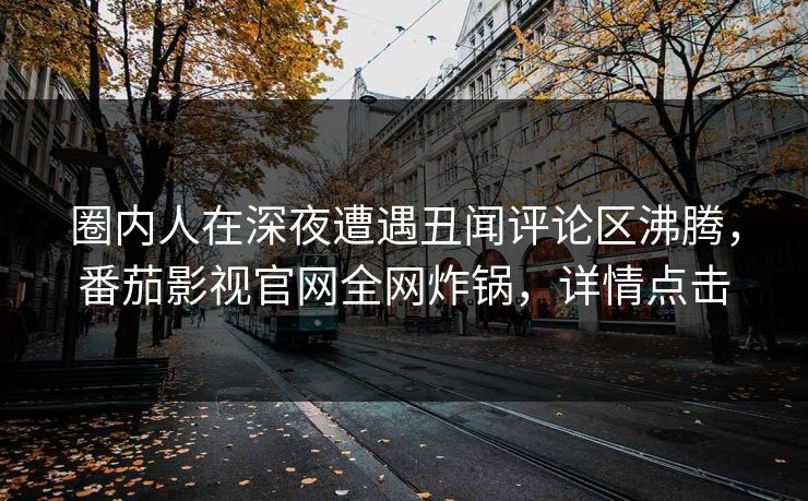 圈内人在深夜遭遇丑闻评论区沸腾，番茄影视官网全网炸锅，详情点击