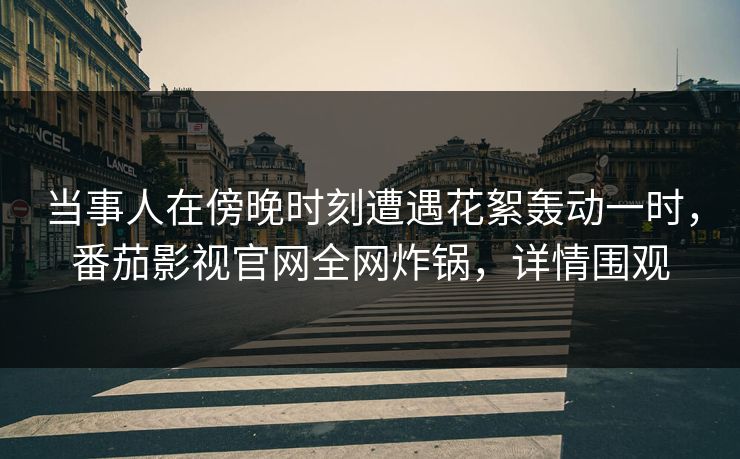 当事人在傍晚时刻遭遇花絮轰动一时，番茄影视官网全网炸锅，详情围观