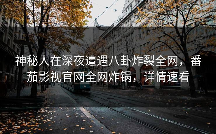神秘人在深夜遭遇八卦炸裂全网，番茄影视官网全网炸锅，详情速看