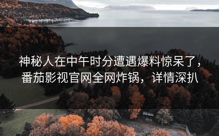 神秘人在中午时分遭遇爆料惊呆了，番茄影视官网全网炸锅，详情深扒