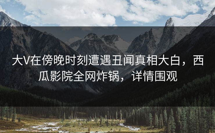 大V在傍晚时刻遭遇丑闻真相大白，西瓜影院全网炸锅，详情围观
