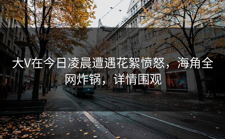 大V在今日凌晨遭遇花絮愤怒，海角全网炸锅，详情围观