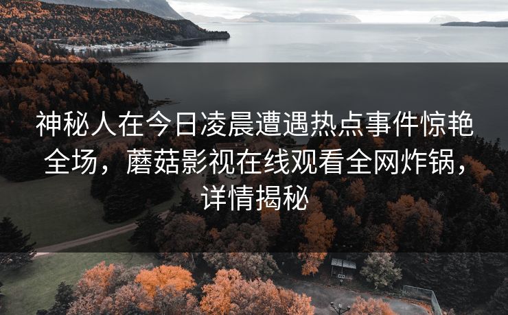 神秘人在今日凌晨遭遇热点事件惊艳全场，蘑菇影视在线观看全网炸锅，详情揭秘