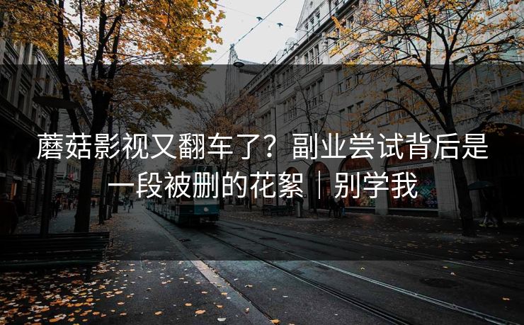 蘑菇影视又翻车了?副业尝试背后是一段被删的花絮|别学我 蘑菇影视又翻车了?副业尝试背后是一段被删的花絮|别学我