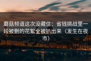 蘑菇频道这次没藏住：省钱挑战里一段被删的花絮全被扒出来（发生在夜市）